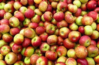 Apple Diets to Lose Weight