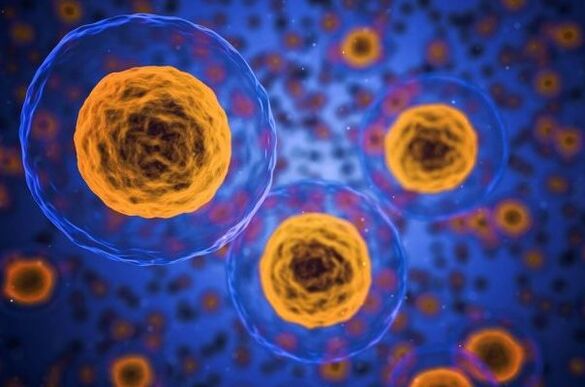 How the process of losing weight occurs